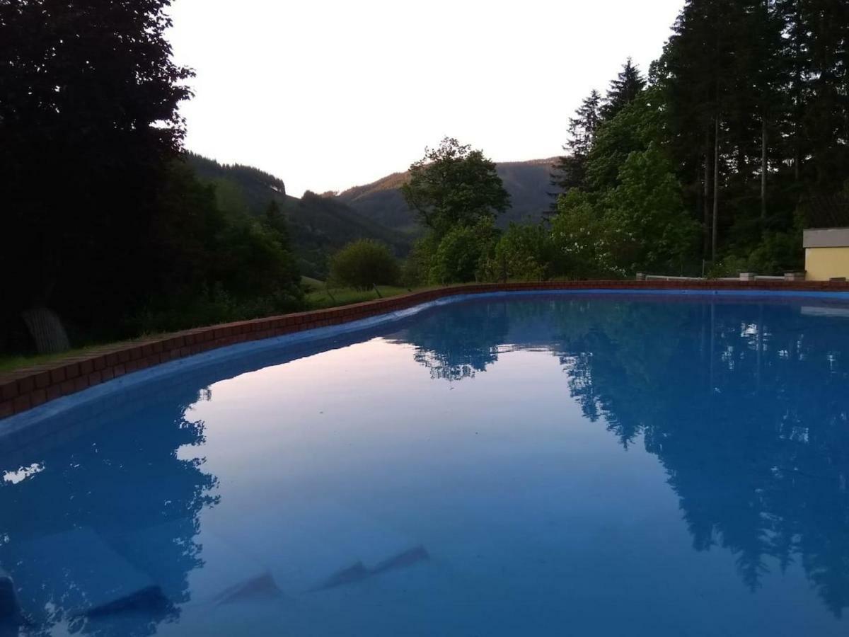 Pool, Pokale, Sauna, Billard, Kirche U. Viel Natur Vordernberg エクステリア 写真